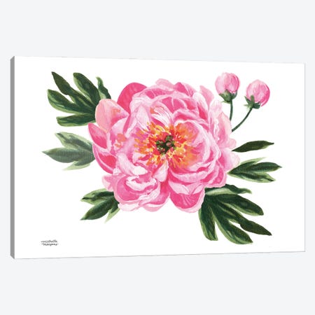 June Bloom Pink Peony Watercolor Canvas Print #MMP106} by Michelle Mospens Canvas Art Print