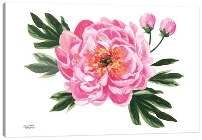 June Bloom Pink Peony Watercolor Canvas Art Print - Michelle Mospens