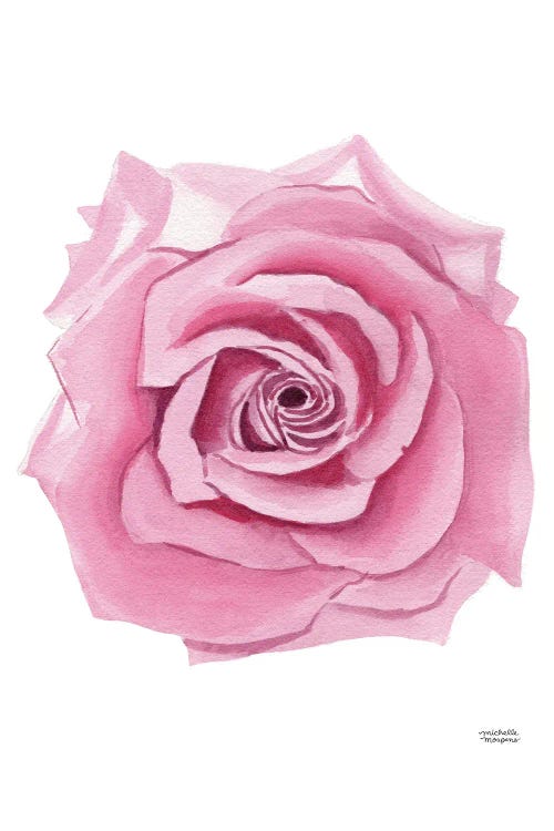 Pink Rose Bloom Watercolor