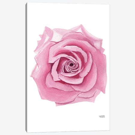 Pink Rose Bloom Watercolor Canvas Print #MMP120} by Michelle Mospens Canvas Art