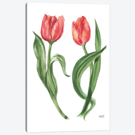 Tulip Botanicals Watercolor Canvas Print #MMP123} by Michelle Mospens Canvas Art