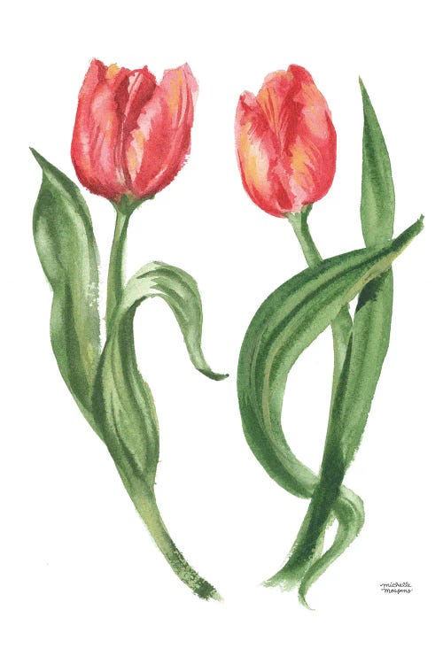 Tulip Botanicals Watercolor