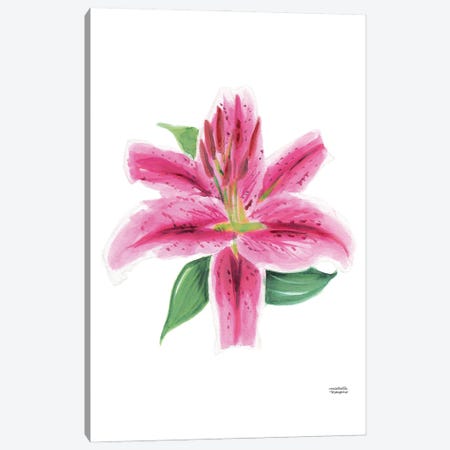 Watercolor Stargazer Lily Bloom Canvas Print #MMP129} by Michelle Mospens Canvas Wall Art