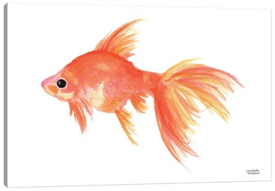 Goldfish Watercolor Canvas Art Print - Goldfish Art