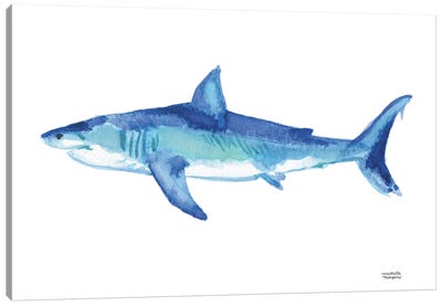 Blue Shark Watercolor Canvas Art Print - Michelle Mospens
