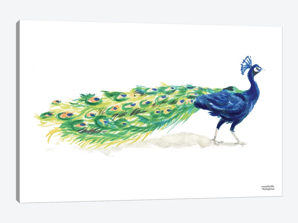 Peacock I Watercolor by Michelle Mospens 1-piece Art Print