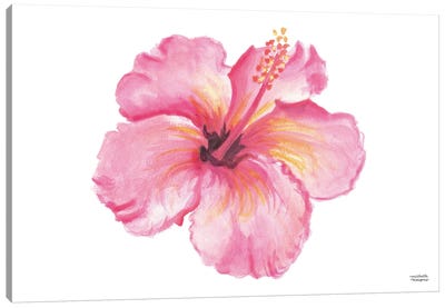 Bright Pink Hibiscus Watercolor Canvas Art Print - Hibiscus Art