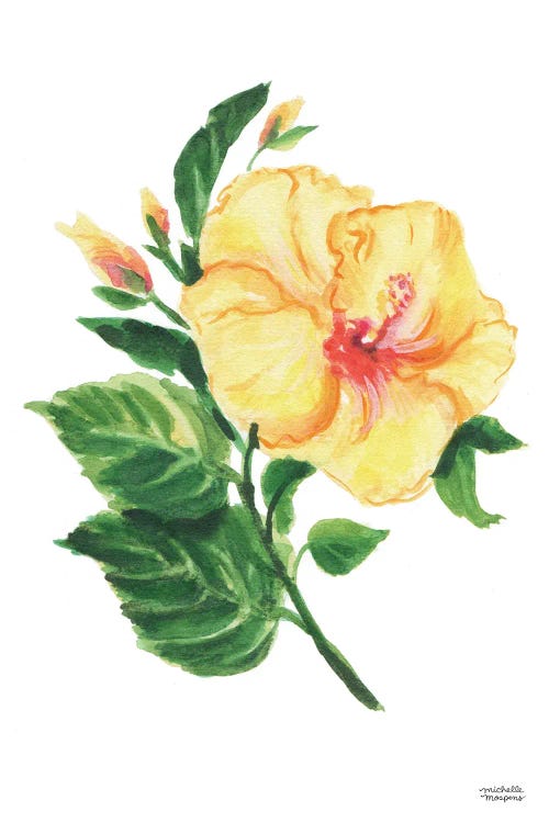 Botanical Hibiscus Watercolor