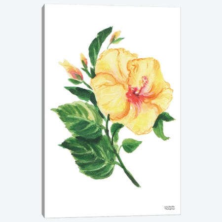 Botanical Hibiscus Watercolor Canvas Print #MMP28} by Michelle Mospens Art Print