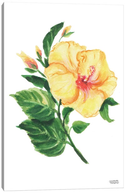 Botanical Hibiscus Watercolor Canvas Art Print - Hibiscus Art
