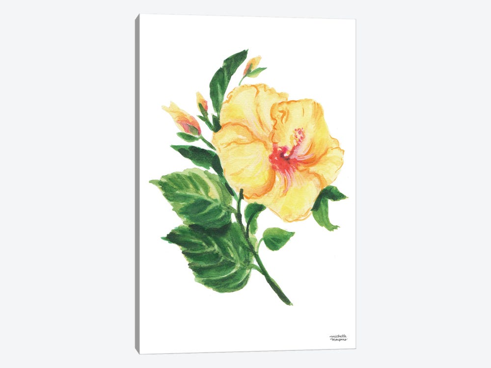 Botanical Hibiscus Watercolor by Michelle Mospens 1-piece Canvas Print
