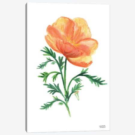 California Golden Poppy Watercolor Canvas Print #MMP33} by Michelle Mospens Canvas Artwork