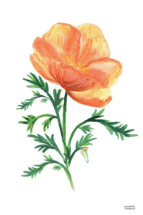 California Golden Poppy Watercolor