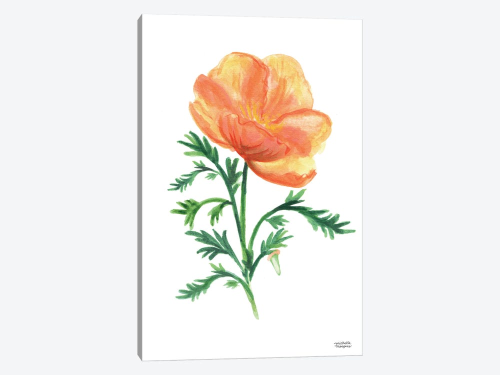 California Golden Poppy Watercolor by Michelle Mospens 1-piece Canvas Print