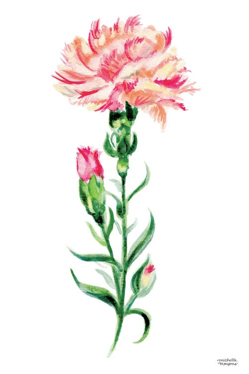 Peach Carnation Watercolor