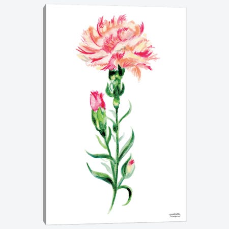 Peach Carnation Watercolor Canvas Print #MMP34} by Michelle Mospens Art Print