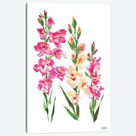 Gladiolus Watercolor Canvas Print #MMP35} by Michelle Mospens Art Print