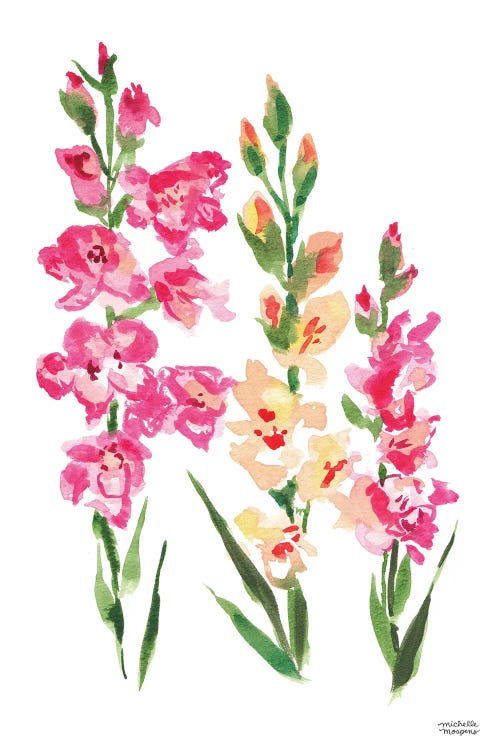 Gladiolus Watercolor