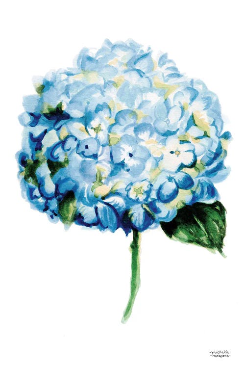 Blue Hydrangea Watercolor