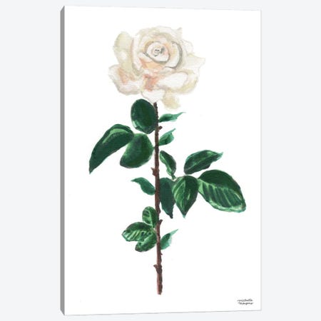 White Rose Watercolor Canvas Print #MMP38} by Michelle Mospens Canvas Art