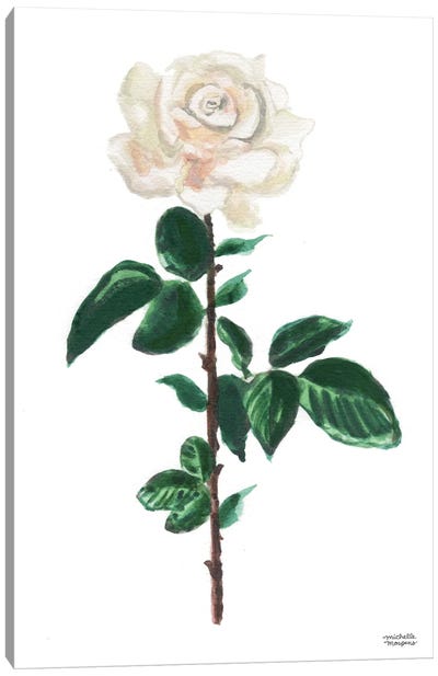 White Rose Watercolor Canvas Art Print - Michelle Mospens