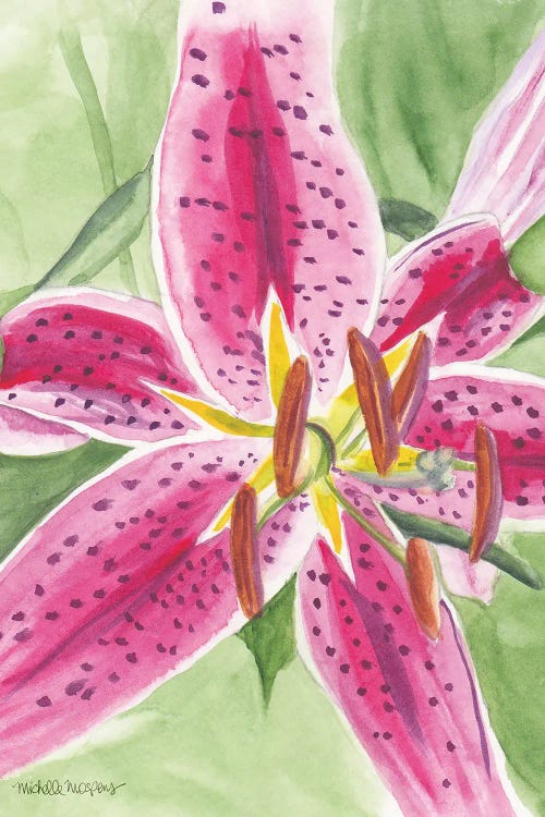 Watercolor Stargazer Lily I