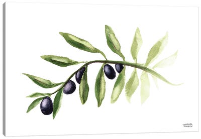 Olive Branch Watercolor I Canvas Art Print - Mediterranean Décor