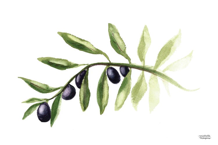 Olive Branch Watercolor I