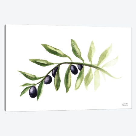 Olive Branch Watercolor I Canvas Print #MMP42} by Michelle Mospens Art Print