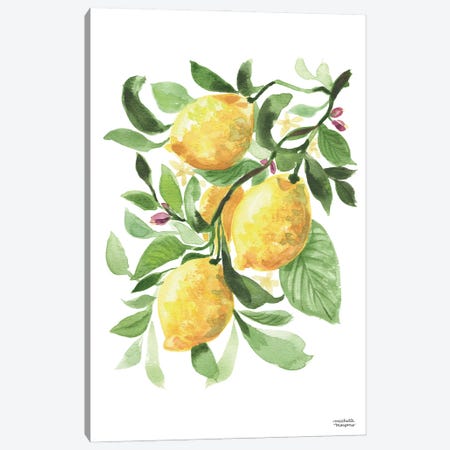 Lemons Watercolor I Canvas Print #MMP43} by Michelle Mospens Canvas Art Print