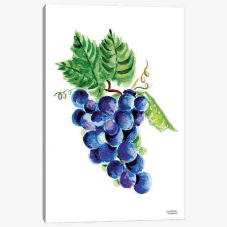 Grapes Watercolor Canvas Print #MMP44} by Michelle Mospens Canvas Art
