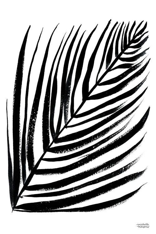 Black And White Frond I