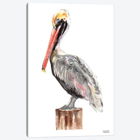Watercolor Pelican Bird Canvas Print #MMP75} by Michelle Mospens Canvas Print