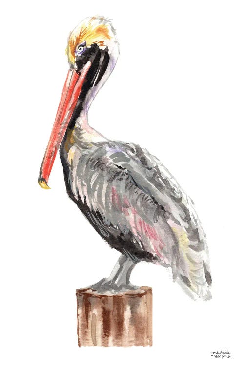 Watercolor Pelican Bird