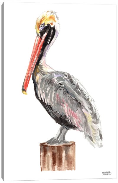Watercolor Pelican Bird Canvas Art Print - Michelle Mospens