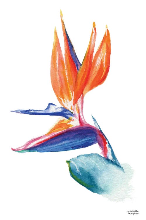 Bird Of Paradise Watercolor