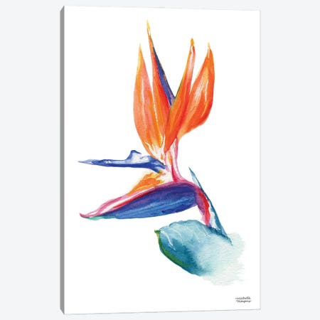Bird Of Paradise Watercolor Canvas Print #MMP83} by Michelle Mospens Canvas Print