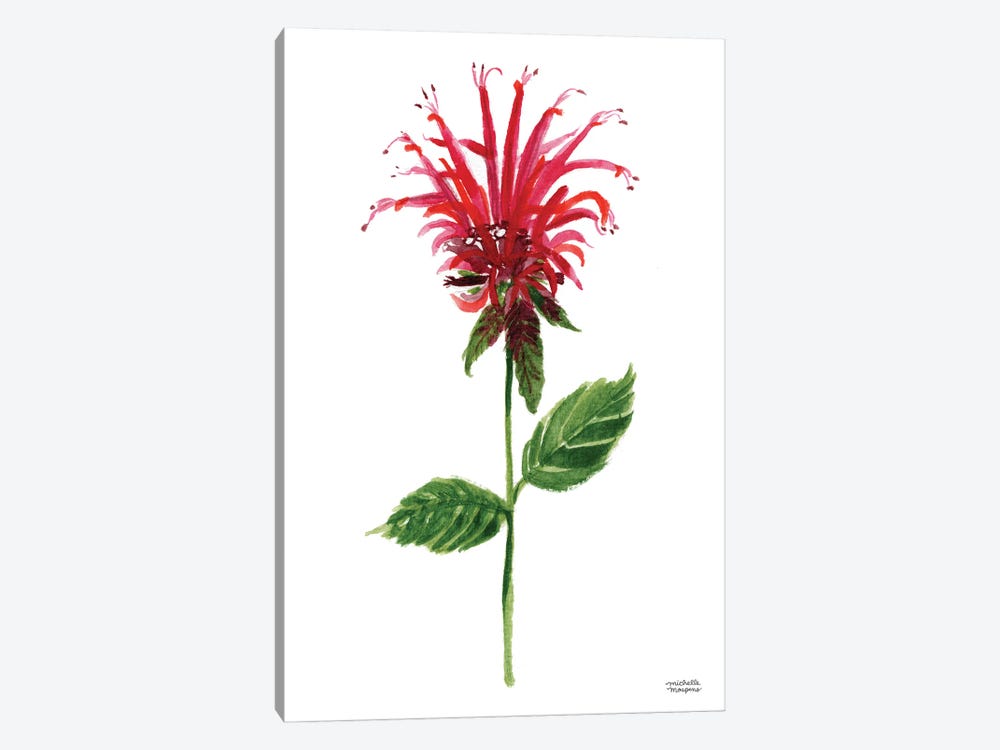 Red Bee Balm Flower Watercolor by Michelle Mospens 1-piece Canvas Art
