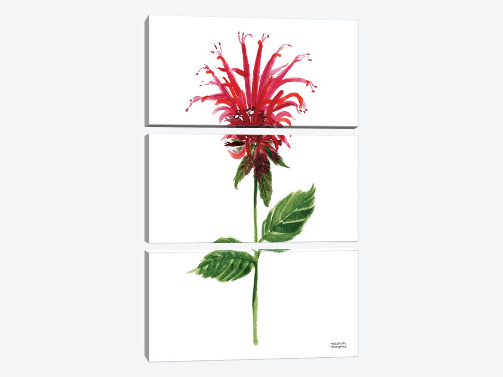 Red Bee Balm Flower Watercolor by Michelle Mospens 3-piece Canvas Artwork
