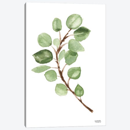 Eucalyptus Branch I Watercolor Canvas Print #MMP87} by Michelle Mospens Canvas Art