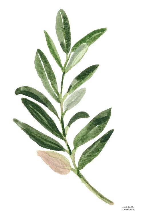 Olive Branch I Watercolor