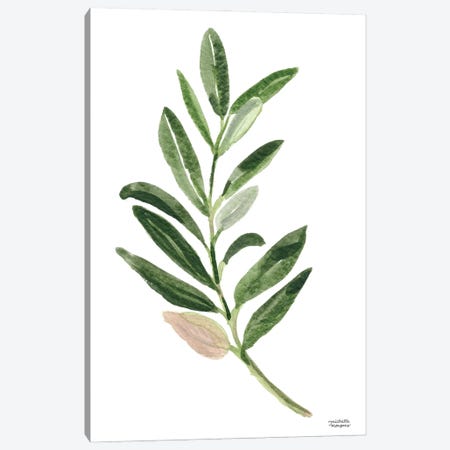 Olive Branch I Watercolor Canvas Print #MMP88} by Michelle Mospens Art Print