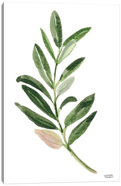 Olive Branch I Watercolor Canvas Art Print - Michelle Mospens