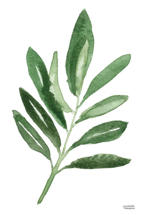 Olive Branch II Watercolor