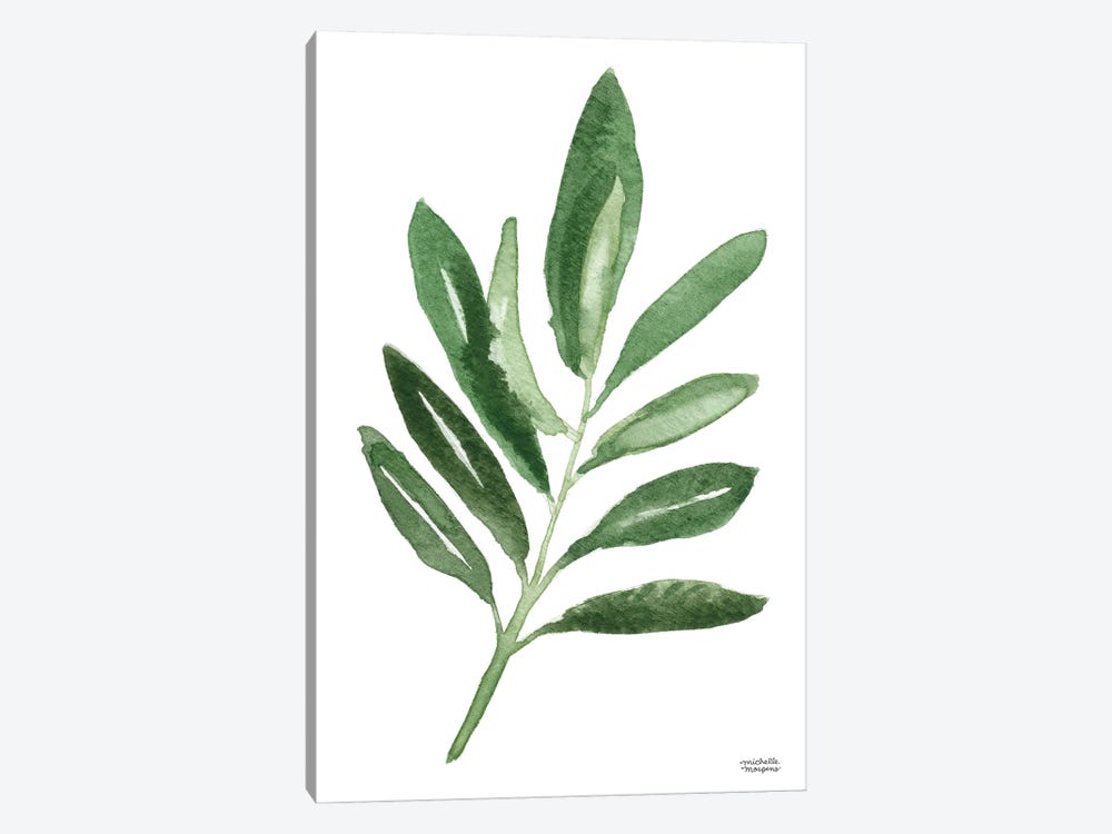 Olive Branch II Watercolor by Michelle Mospens 1-piece Canvas Wall Art