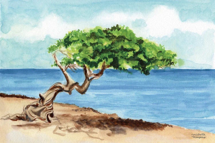 Aruba Divi Tree Beach Watercolor