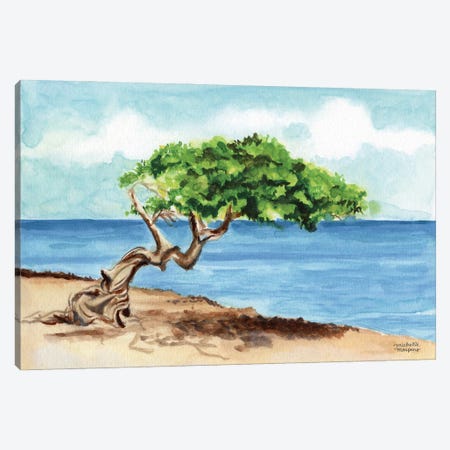 Aruba Divi Tree Beach Watercolor Canvas Print #MMP91} by Michelle Mospens Canvas Wall Art