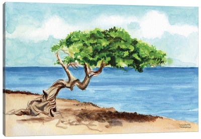 Aruba Divi Tree Beach Watercolor Canvas Art Print - Michelle Mospens