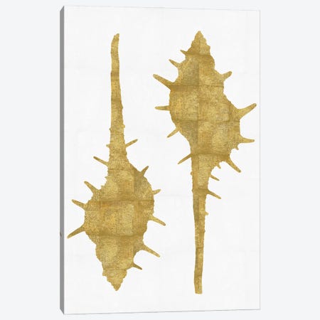 Gold On White II Canvas Print #MMR16} by Melonie Miller Art Print