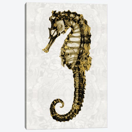 Golden Sea Horse I Canvas Print #MMR1} by Melonie Miller Canvas Art